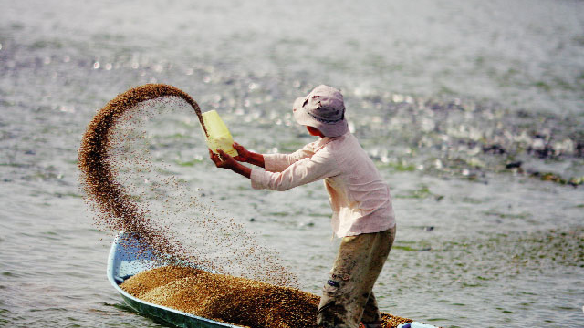 Hướng dẫn gửi mẫu thức ăn chăn nuôi - thức ăn thủy sản