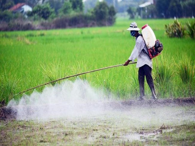 Hiểm họa thực phẩm bị tồn dư thuốc bảo vệ thực vật