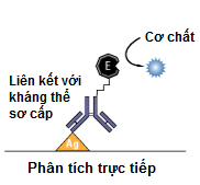 Kỹ thuật ELISA