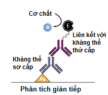 Kỹ thuật ELISA