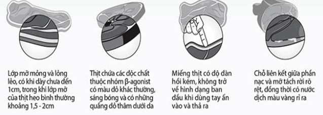 Chất cấm trong chăn nuôi