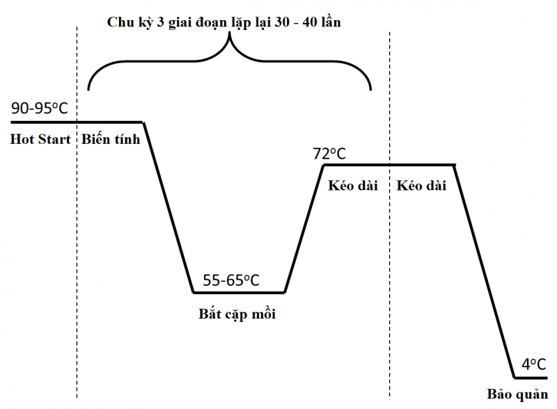 Kỹ thuật PCR