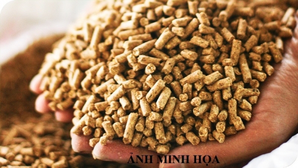 Hướng dẫn gửi mẫu thức ăn chăn nuôi - thức ăn thủy sản